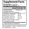 Summit Probiotic - 40 Billion CFU